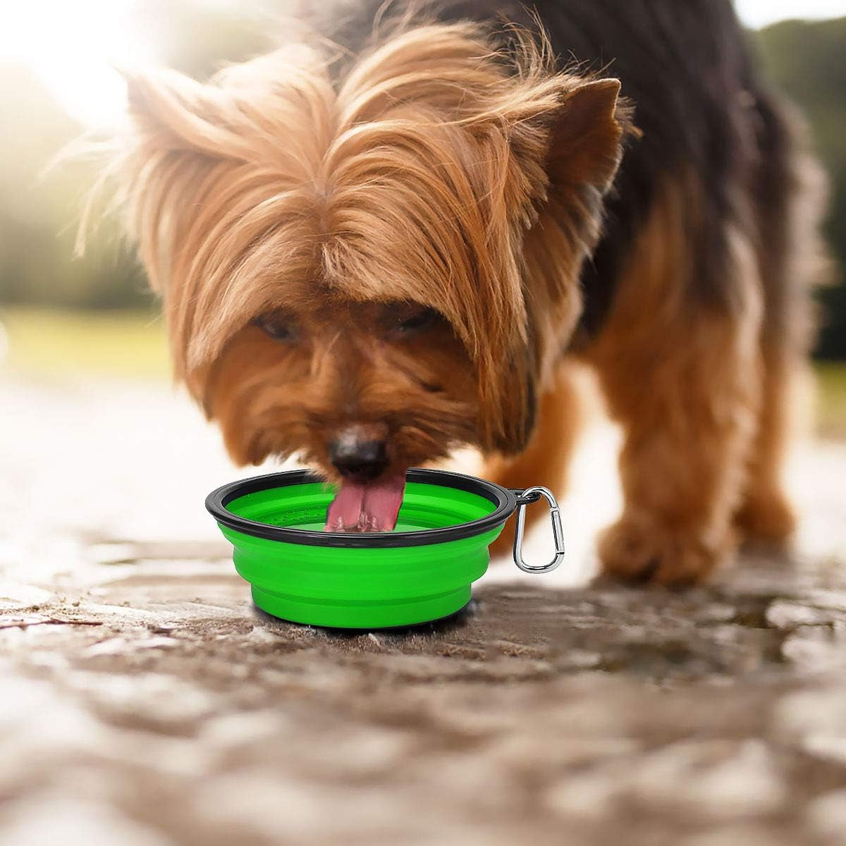 Extra Large Collapsible Dog Bowls 2 Pack, 34Oz Foldable Dog Travel Bowl, Portable Dog Water Food Bowl with Carabiner, Pet Feeding Cup Dish for Traveling, Walking, Parking